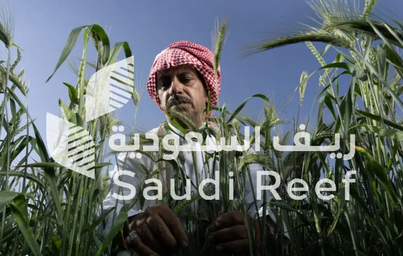 ريف السعودية دعم